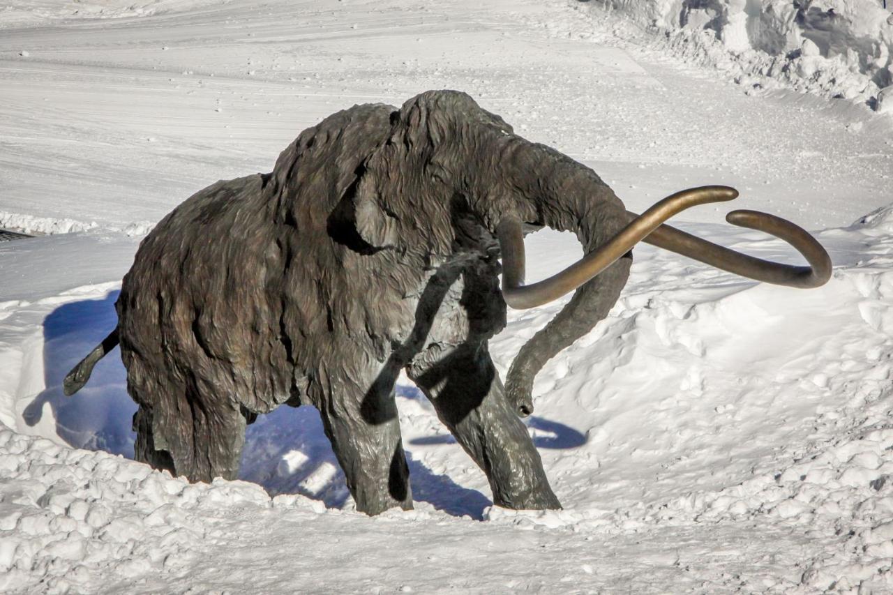Sierra Megeve Lejlighed Mammoth Lakes Eksteriør billede